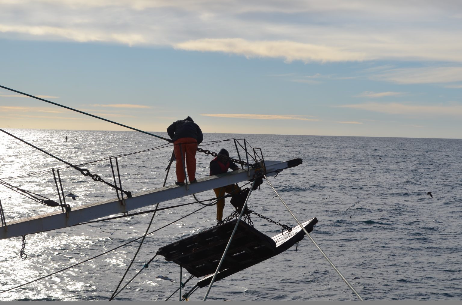 Pesca de Langostino 2022, Aguas Nacionales. Se dio inicio a la prospección
