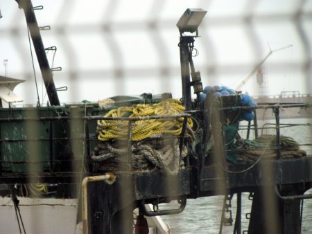 Postergan unos dÃas el inicio de la prospección de merluza en zona de veda