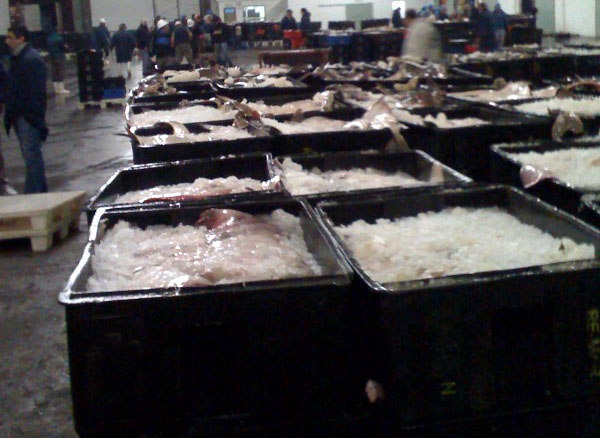 Las claves del nuevo Registro de Operadores Mar铆timos