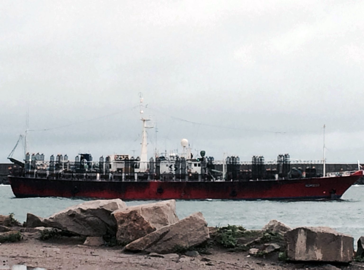 Llegan poteros al puerto local tras completar el primer viaje de la temporada