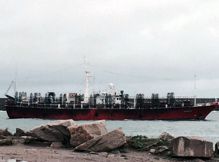Llegan poteros al puerto local tras completar el primer viaje de la temporada