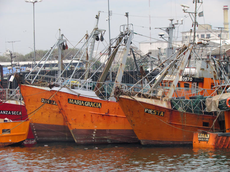 “El Rincón†y corvina, dos ejes que marcaron el encuentro de la Comisión de Seguimiento del Variado Costero