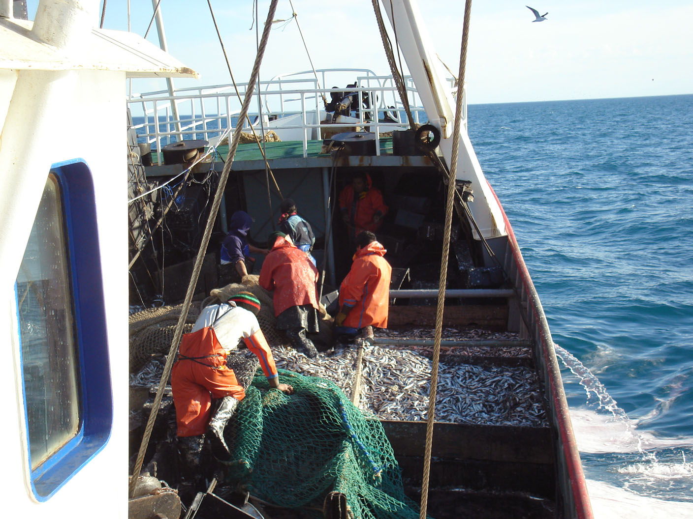 Estos son los barcos que dominaron las descargas de anchoÃta durante la temporada 2013