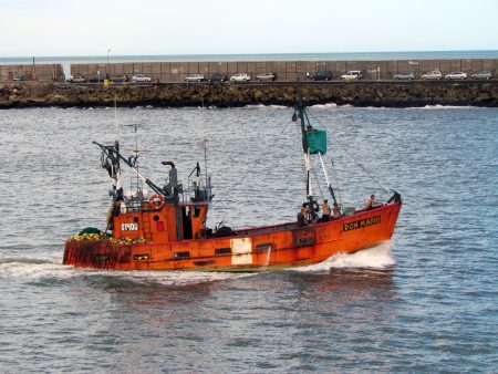 Movilidad de la flota: dura acusación de armadores locales contra un senador provincial