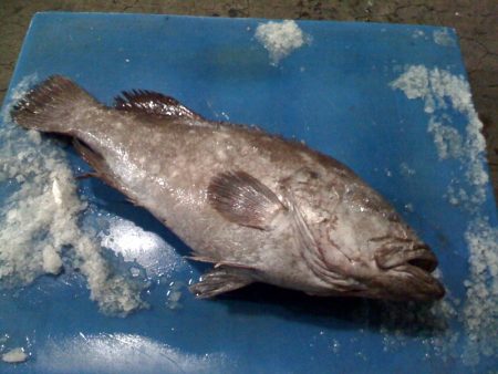 El Consejo habilita prospección de mero en la Zona de Veda Permanente de Merluza