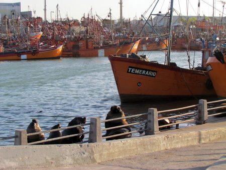 Buques locales que se trasladaron a BahÃa Blanca esperan definiciones