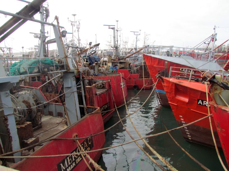 Gremios piden por el trabajo de los fresqueros