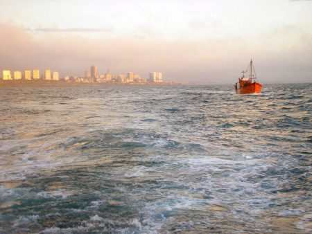 Preocupa al sector que se cuestione la movilidad de la flota entre puertos