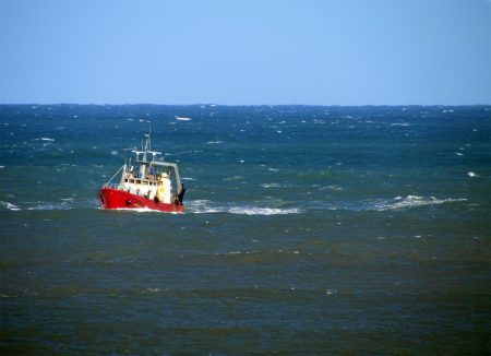Merluza: el Consejo autoriza prospectar el 谩rea norte de la veda