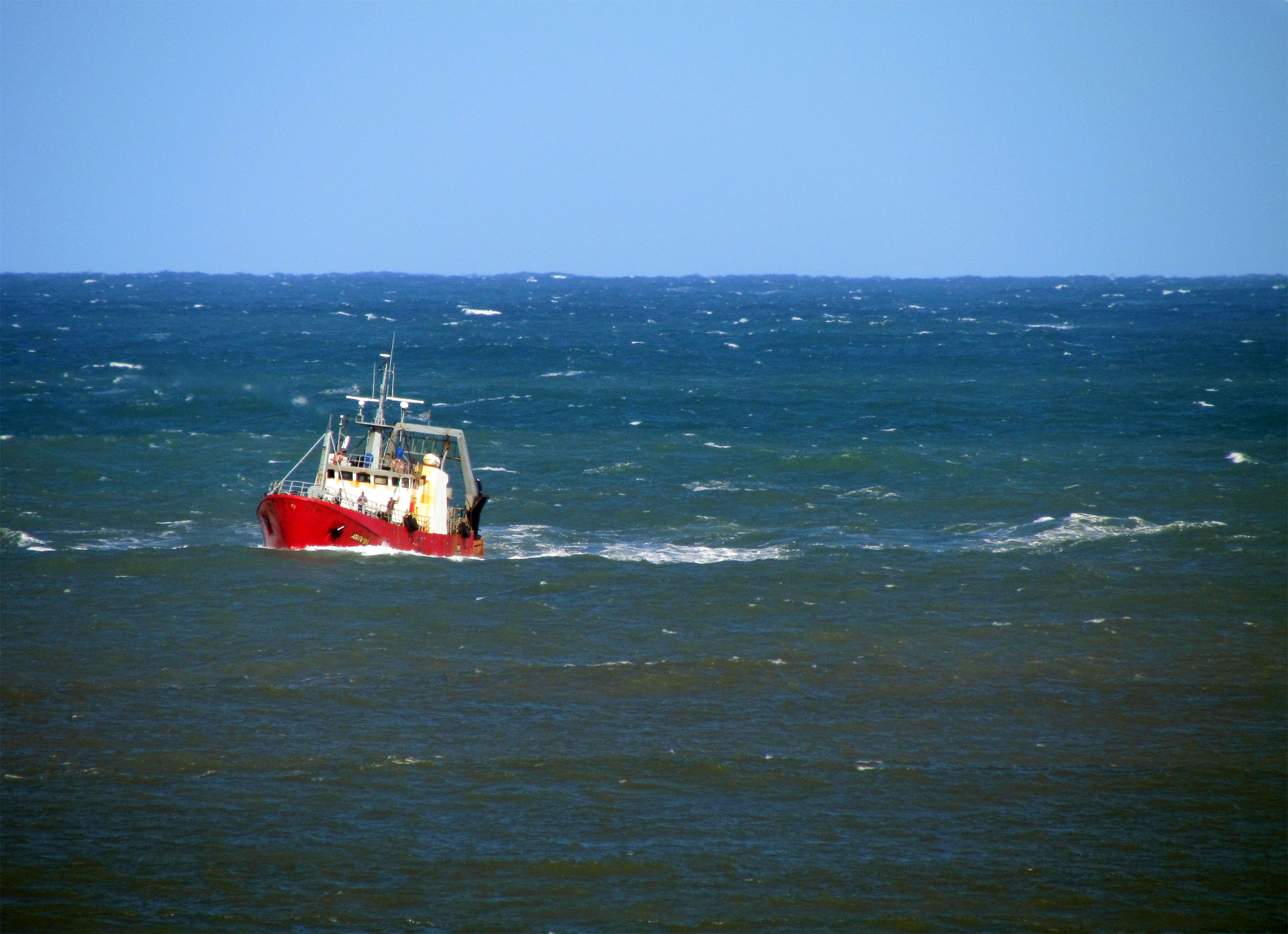 El Consejo Federal Pesquero autorizó prospectar la zona norte de la Veda de Merluza