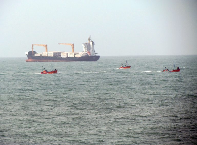 La Afip determinó valores de referencia para las exportaciones de corvina y merluza