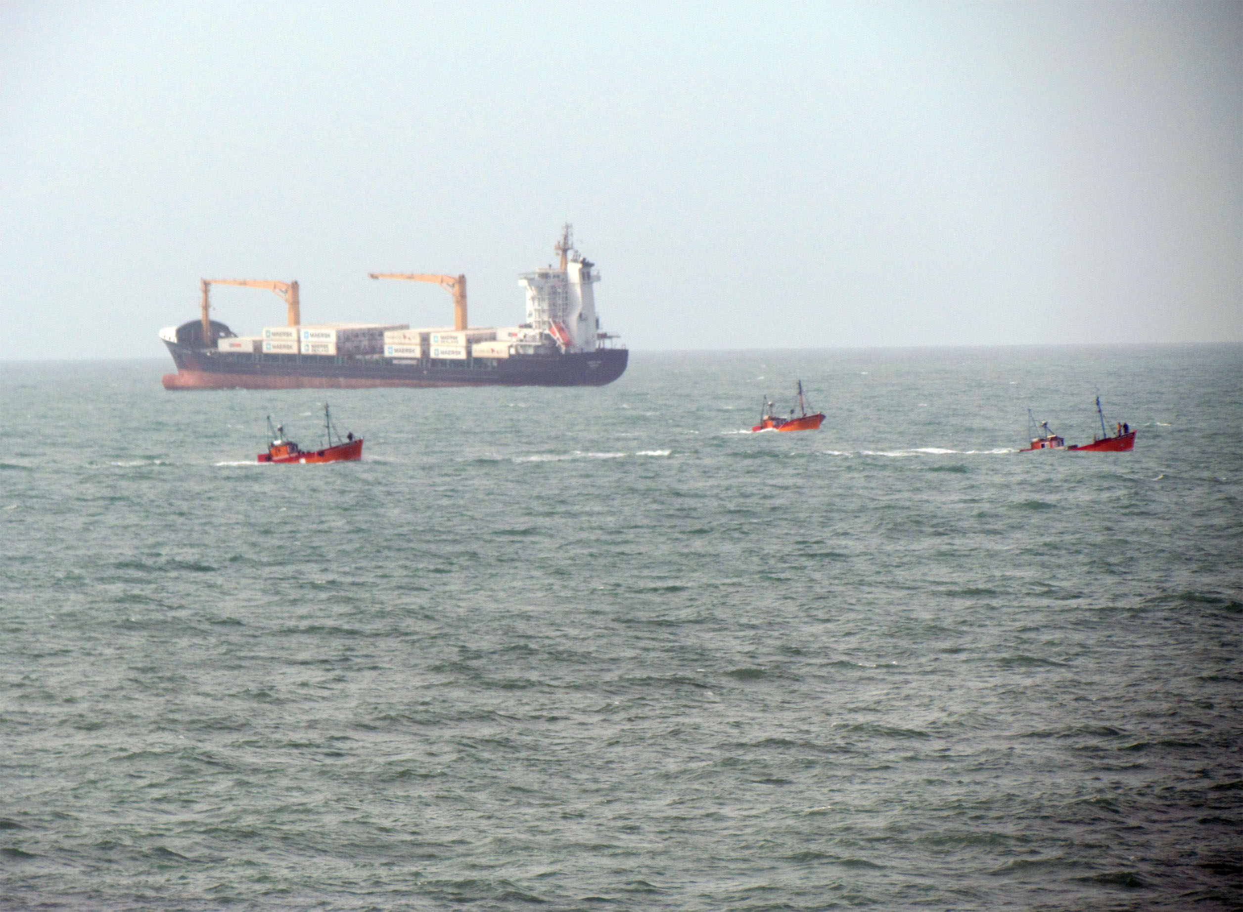 La Afip determinó valores de referencia para las exportaciones de corvina y merluza