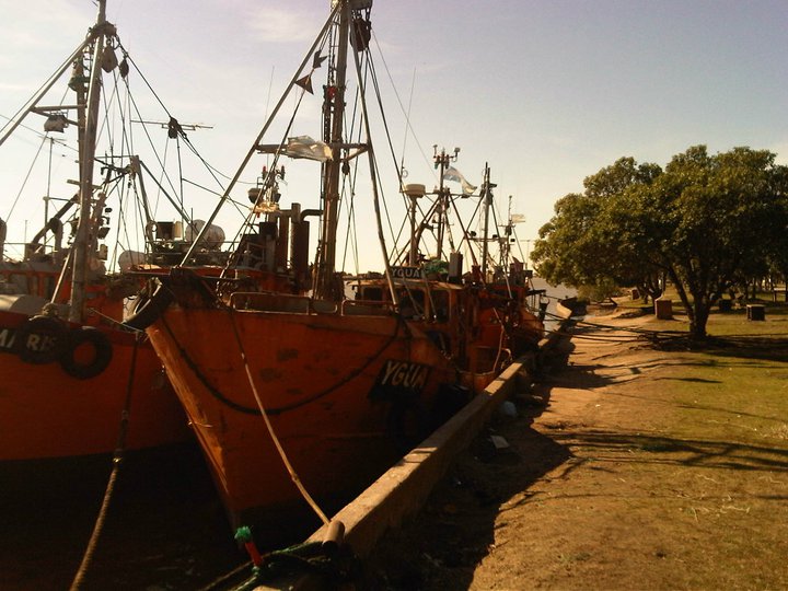 Bahía Samborombón. Problemas para la pesca de corvina