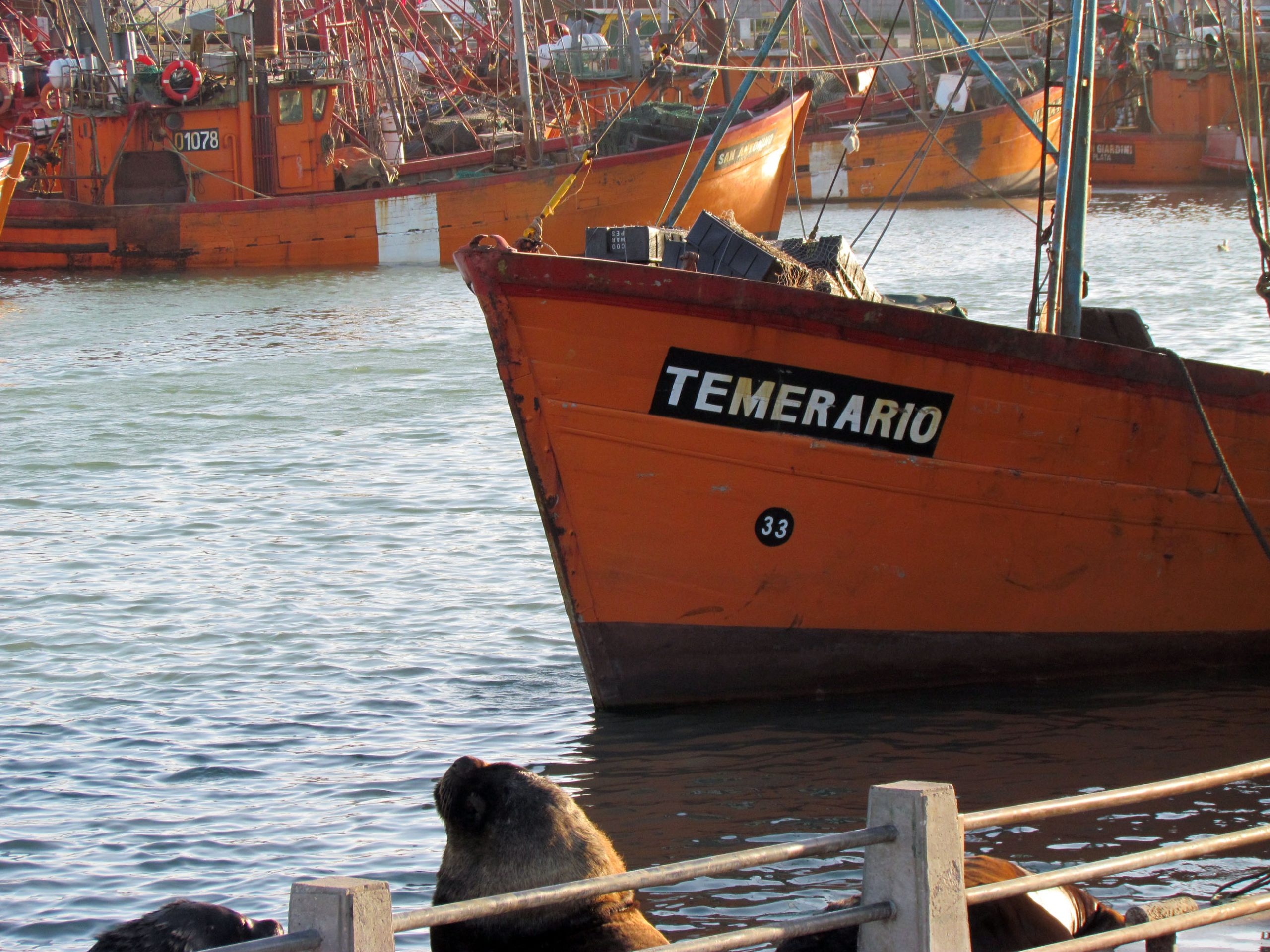 “Sentaron un precedente peligrosísimo que pone en jaque a toda la pesca”