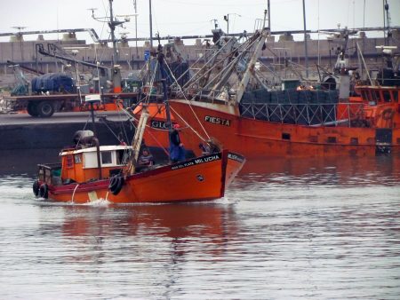 Titulares de lanchas amarillas rechazan el control satelital
