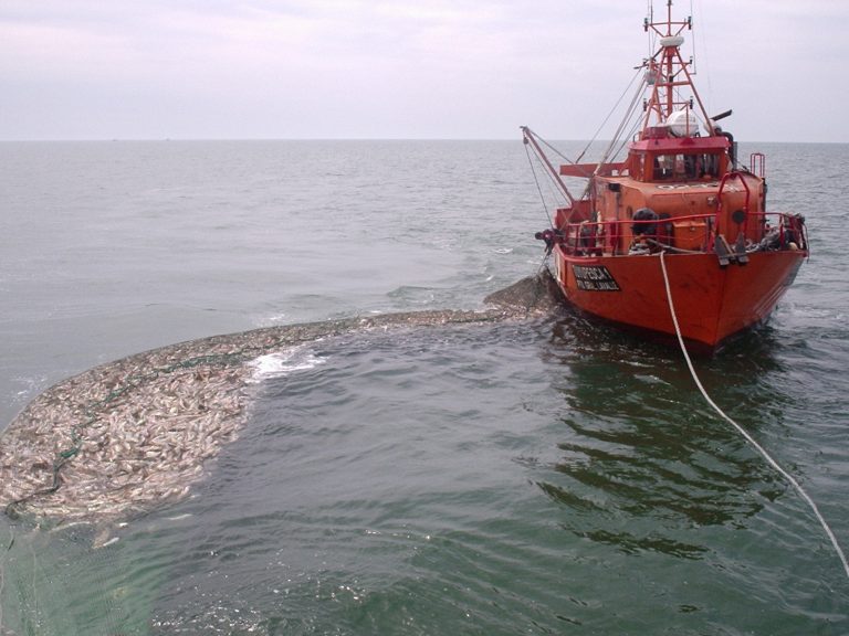 Veda de corvina en la costa del RÃo de la Plata