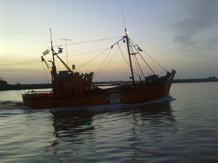 Recortan veda de corvina en el Río de la Plata