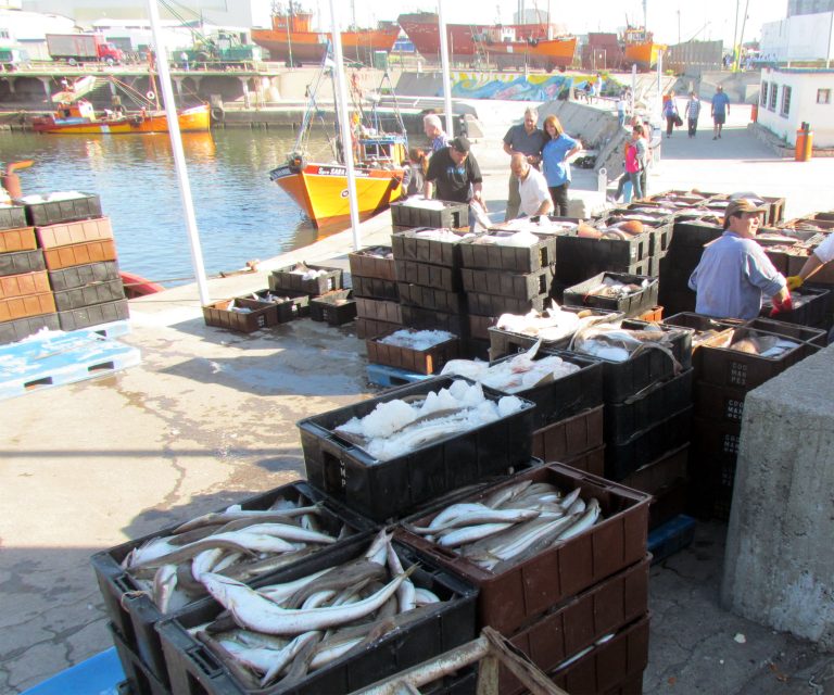 Cayeron los desembarques durante el primer semestre