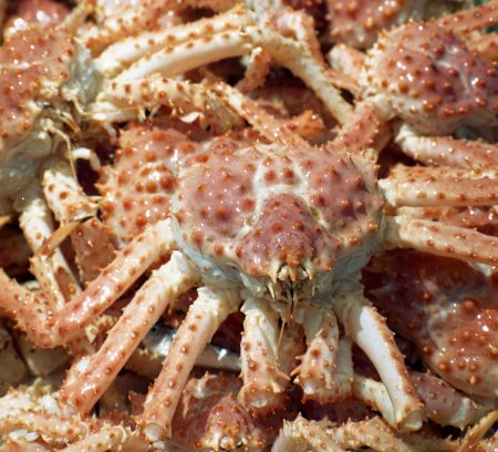 El Inidep traza un plan de marcación para centolla