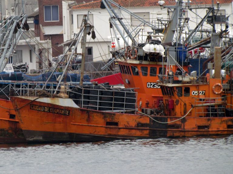 Regresan algunas embarcaciones que participaron de la temporada de corvina en Bahía de Samborombón