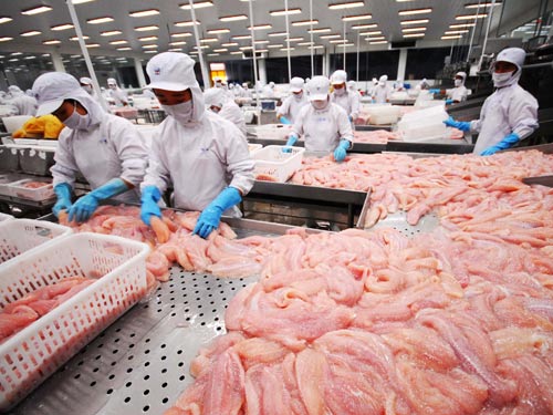Guiño para la merluza argentina: Brasil suspende la importación del pangasius vietnamita