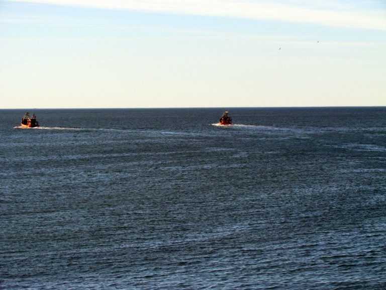 Barcos costeros locales buscan pescar anchoíta desde Necochea