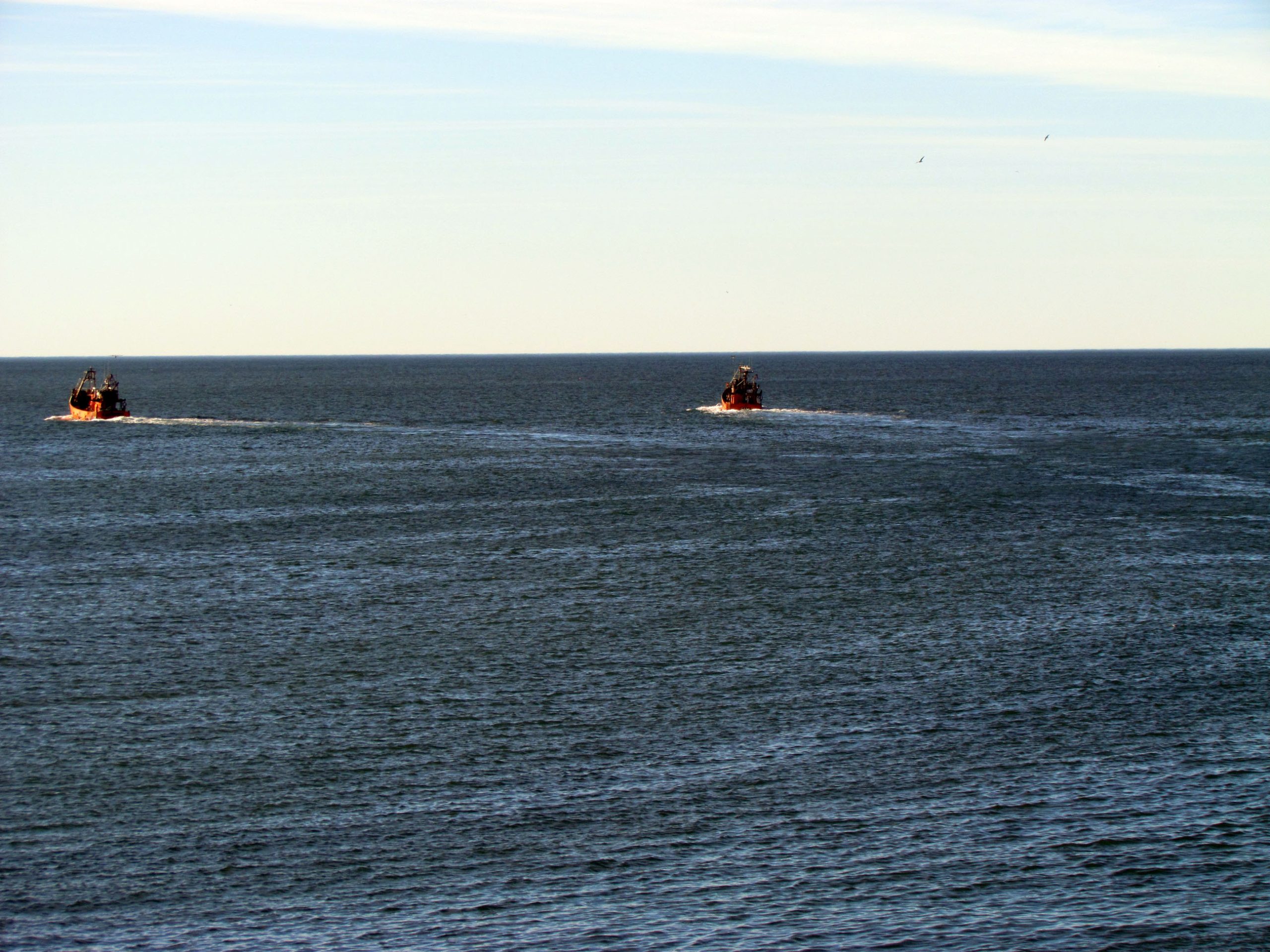 Barcos costeros locales buscan pescar anchoíta desde Necochea