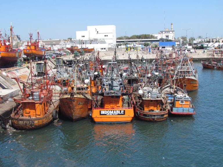 La Direcci贸n Provincial de Pesca pide por la certificaci贸n de bodega