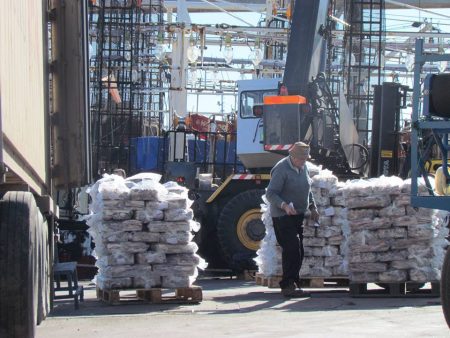 Servicios de descarga y alistamiento de buques, un 50% m谩s caro