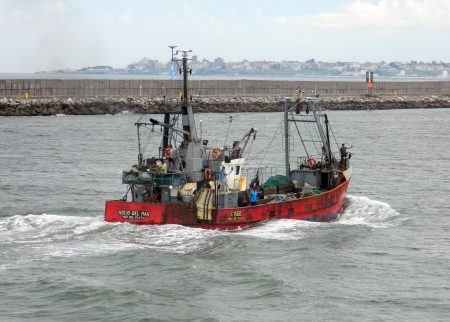 La Provincia habilita a seis fresqueros para operar en sus aguas sobre ancho铆ta