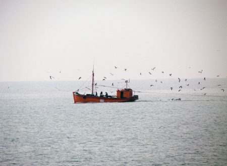 Todo el mundo celebra hoy, el D铆a del Pescador y de las Aduanas