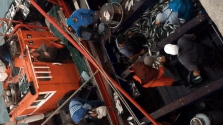 Las lanchas suman caballa a los muelles