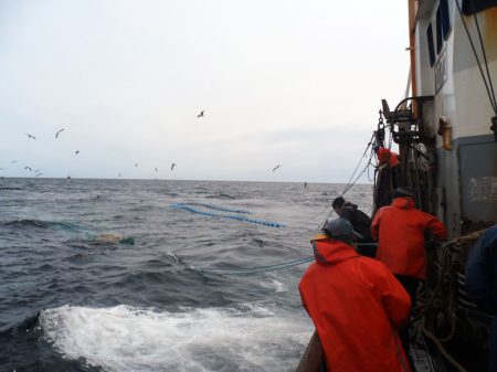 Veda estival de merluza en la Zona Com煤n de Pesca