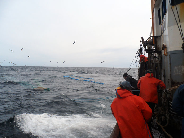 Buques pesqueros y el “Angelescu” colaboran con la búsqueda del submarino “ARA San Juan”