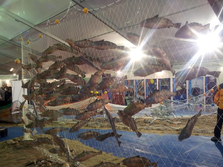 Algunas empresas del sector se sumarán a la ExpoIndustria Mar del Plata