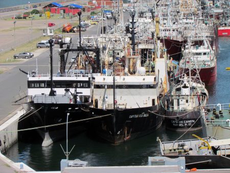 Profesionales del Inidep a la presidenta: “La investigación está de lutoâ€