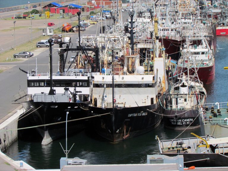 Aprueban ley para fomentar la investigación en el Mar Argentino; pero los barcos del Inidep siguen inactivos