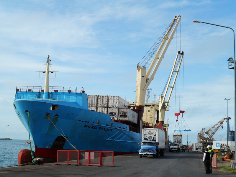 Desde la Subsecretaría de Pesca destacan el crecimiento de las exportaciones