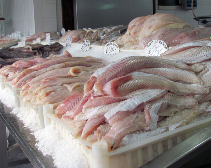 Reporte mundial sobre comercio pesquero advierte sobre caída de precios; pero con volúmenes en crecimiento