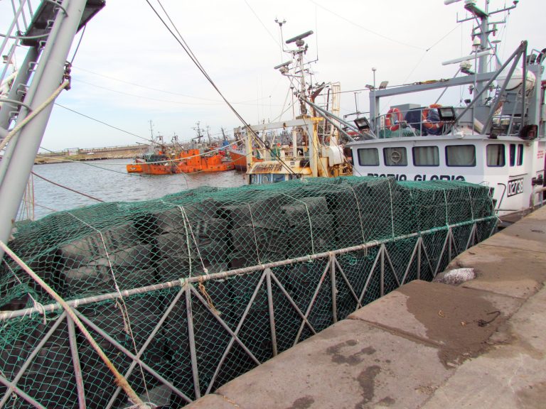 Cierran la pesca de merluza al norte del 41° tras haberse alcanzado la Captura Máxima Permisible