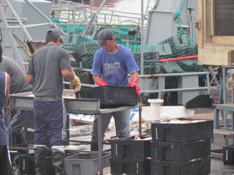 La Provincia busca ajustar controles sobre origen, transporte y destino del pescado