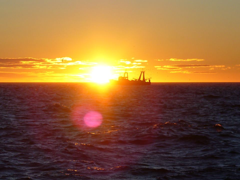 La temporada de langostino en aguas nacionales comienza a palparse