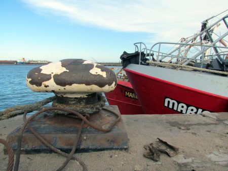 El extremo norte de la veda de merluza seguirá cerrado