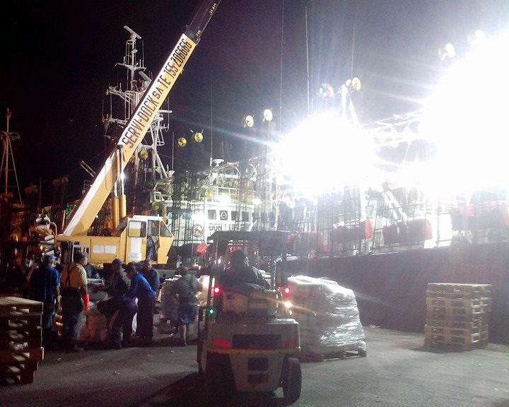 Descargas de calamar por buque