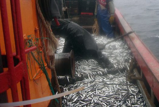 Ancho铆ta: establecen medidas de manejo y comisi贸n de seguimiento