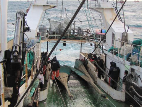 La temporada de langostino en aguas nacionales, a punto de iniciarse pesca langostino1 2