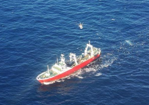 Merluza: comenzaron las transferencias de la Reserva de Administración