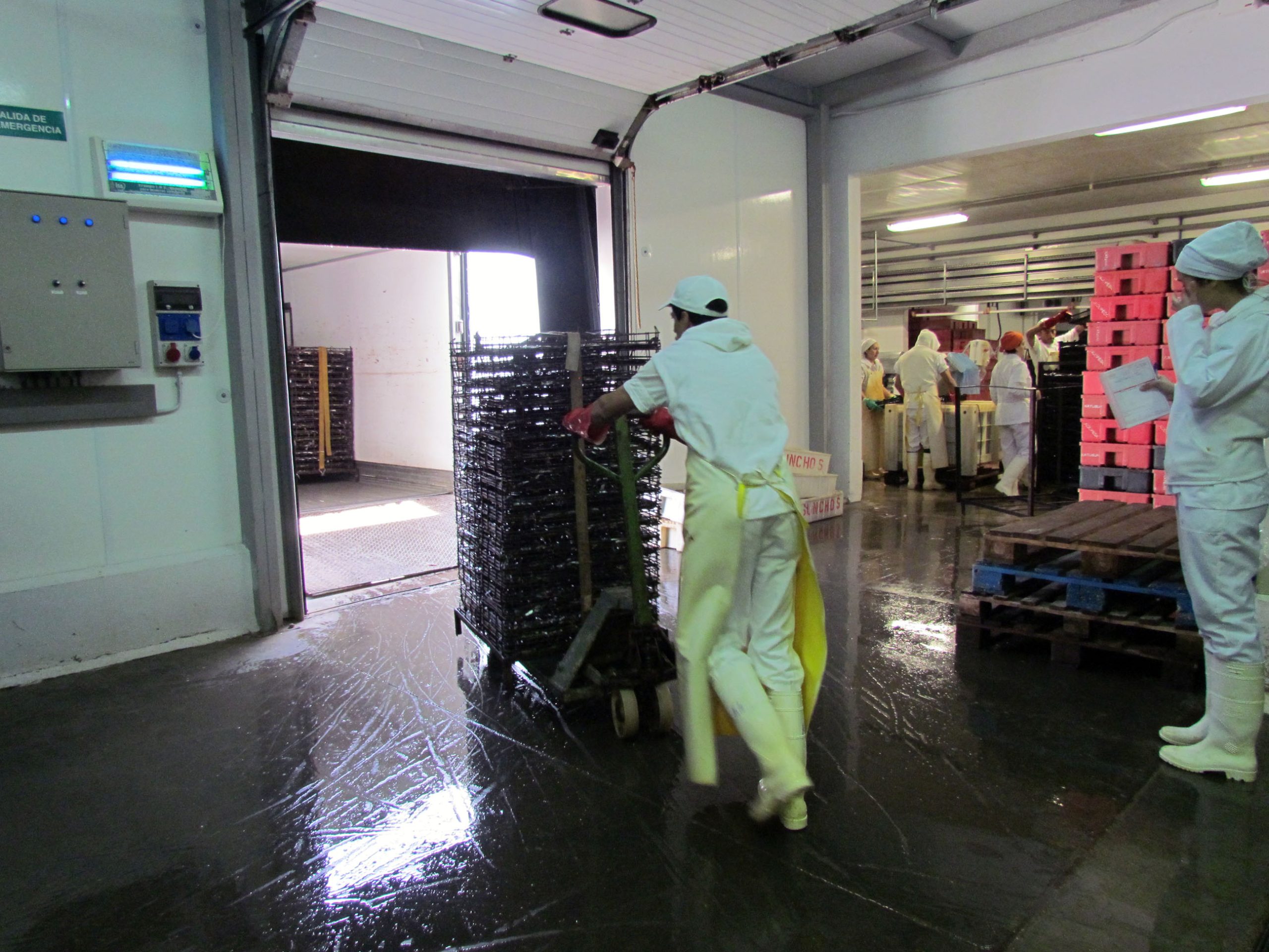 Mayo dejó en los muelles casi dos mil toneladas de anchoíta