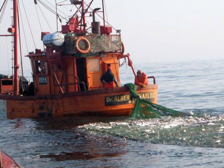 Corvina en Lavalle: sanción para cuatro barcos locales