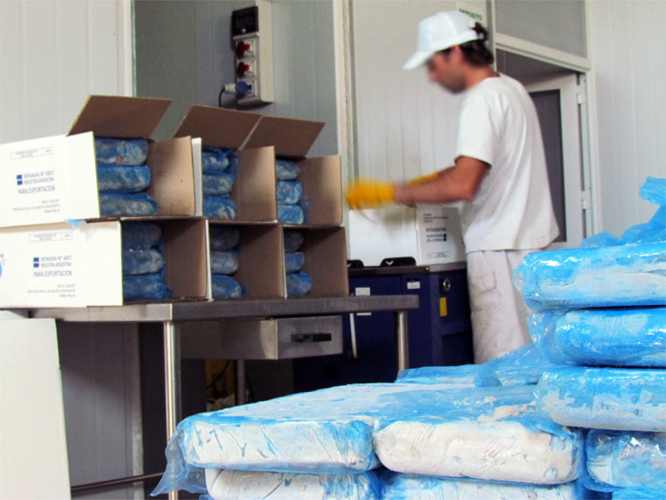 Las exportaciones de merluza caen un 23,7 por ciento